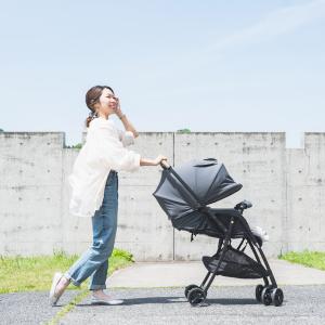 アップリカ(Aprica) カルーンエアーメッ...の詳細画像3
