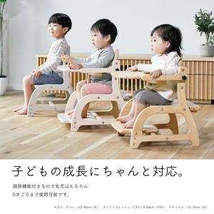 yamatoya認定店 大和屋 すくすくローチ...の詳細画像3