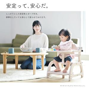 yamatoya認定店 大和屋 すくすくローチ...の詳細画像5