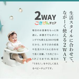 リッチェル ベビーチェア Richell 2W...の詳細画像1