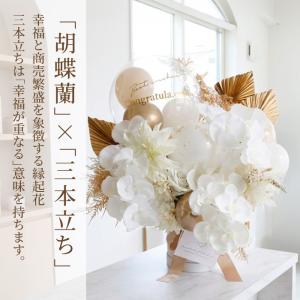 開店祝い 胡蝶蘭 花 バルーン 開業祝い おし...の詳細画像1
