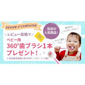 キャリフリー チェアベルト ホールド Plus...の詳細画像1