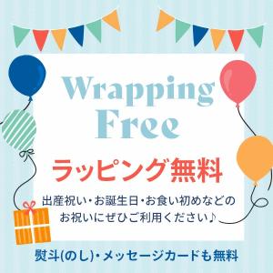 エルゴポーチ ergoPouch コクーンスワ...の詳細画像1