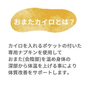 おまたカイロ おまた専用オーガニックコットン布...の詳細画像1