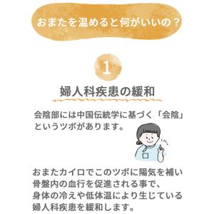 おまたカイロ おまた専用オーガニックコットン布...の詳細画像2