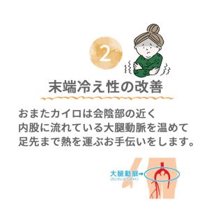 おまたカイロ おまた専用オーガニックコットン布...の詳細画像3
