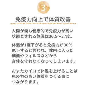 おまたカイロ おまた専用オーガニックコットン布...の詳細画像4