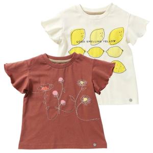 子供服 キムラタン n.o.u.s (ノウズ ) Ｔシャツ（半袖） (80〜140cm)｜baby-kids-kimuratan