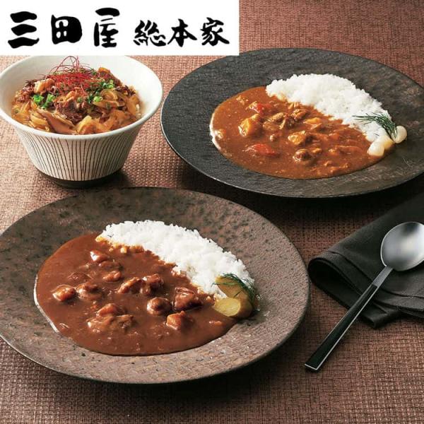 三田屋総本家 カレー詰合せ（ギフト） E 黒毛和牛のビーフカレー 黒鶏のチキンカレー 黒豚のポークカ...