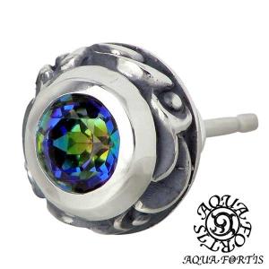 AQUA SILVER（アクアシルバー） アクアフォーティス AQUA FORTIS