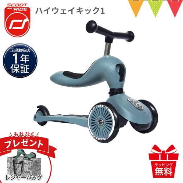 収納バッグプレゼント スクートアンドライド Scoot &amp; Ride ハイウェイキック1 スチール｜...