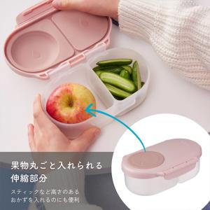 bbox ビーボックス スナックボックス 液漏...の詳細画像4