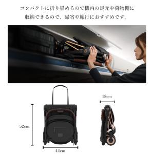 SALE 豪華レビュー特典 正規品 2年保証 ...の詳細画像3