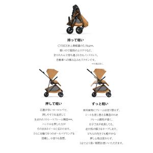 新型 2026 メリオカーボン 正規品 2年保...の詳細画像3