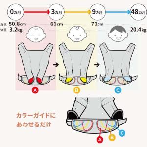 Ergobabyアダプトソフトフレックス(AD...の詳細画像3