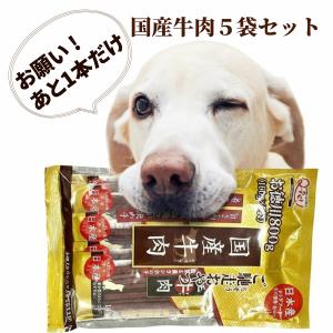 カークランド ドッグフード PUPPY パピー 子犬用 9.07kg ドライ チキン