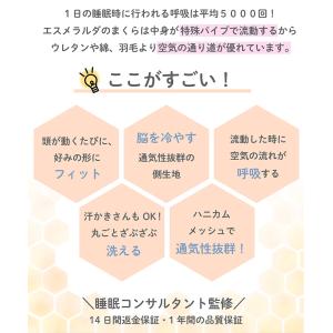 【公式】エスメラルダ 1位獲得 呼吸する小学生...の詳細画像3