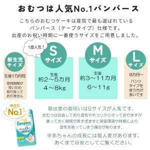 ミッフィー おむつケーキ バッグ付き 出産祝い...の詳細画像5