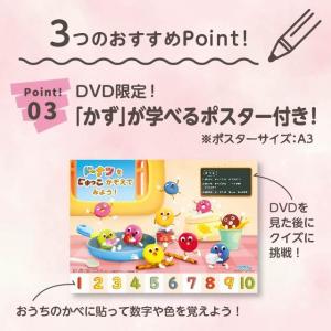 BabyBus DVD ぬいぐるみ ドーリンと...の詳細画像5