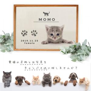 命名書 オーダー 手形 足形 キット付 写真入 ねこ