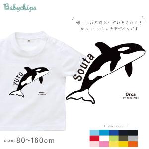半袖Tシャツ    名入れ　出産祝い 名入れ 名前入 シャチ 水族館 お誕生日 プレゼント アウトドア 好き  こども服 / 半T  シャチ｜ベビーチップス