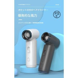 キャンプ・リビングルーム・車用 コードレスヘアドライヤー 個人用 ハンドヘルド 最大電力 55W ファンコントロール調整可能 充電式 約0.3?2 時間連続使用
