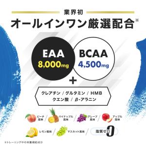アンビーク EAA オールインワン 620g ...の詳細画像2