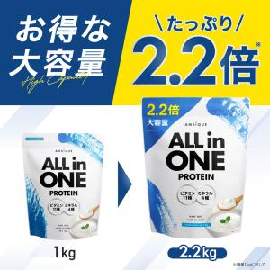 ホエイプロテイン WPC 大容量 ヨーグルト風...の詳細画像3