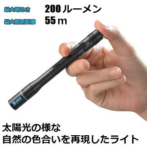 Led 懐中電灯 小型 明るい ペンライト 医療用 Ledライト 0ルーメン E19b