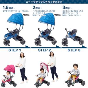 三輪車 エーシートSS 押手棒付き かじ取り ...の詳細画像1