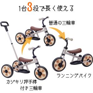 へんしんサンライダー NEO マットグレー 三...の詳細画像1