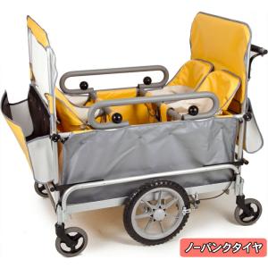 【2〜3週間程で出荷予定】代引不可・日時指定不...の詳細画像1
