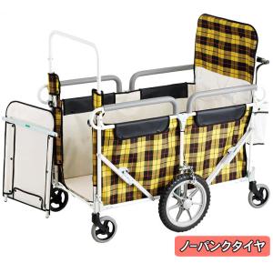 【2〜3週間程で出荷予定】代引不可・日時指定不...の詳細画像2