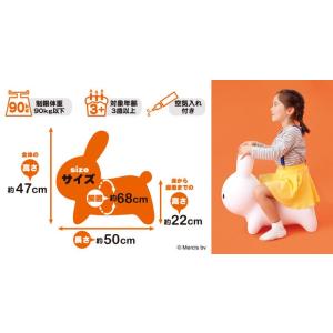 アイデス ブルーナ ボンボン ミッフィーでおなじみのディックブルーナ Miffy 乗り物 バルーントイ 乗用玩具 赤ちゃん 送料込