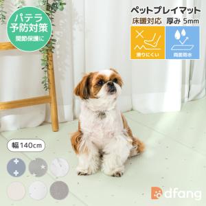dfang ディパン【ドッグスロープ／ジャイアントスロープ】ノンスリップ