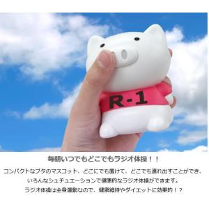 【メール便利用!送料込み】ハシートップイン 体...の詳細画像2