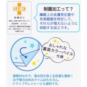 【メール便利用!送料無料】丸眞 制菌&紫外線遮...の詳細画像3