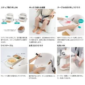 【送料込み/一部地域除く】リッチェル ベビーチ...の詳細画像2