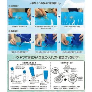 イガラシ 名探偵プリキュア浮輪60cmの詳細画像3