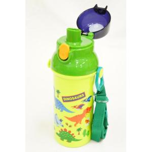 PSB5SANAG ディノサウルス 水筒 480ml スケーター