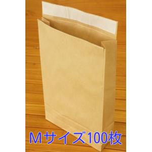 【送料無料/一部地域除く】テープ付き宅配袋Mサイズ100枚【他商品と同梱不可品】