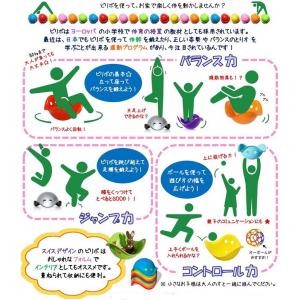 【送料込み/一部地域除く】スイス生まれのバラン...の詳細画像3