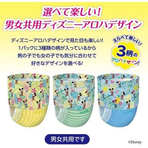 大王製紙 水あそび用おむつ Goonグーンスイ...の詳細画像1