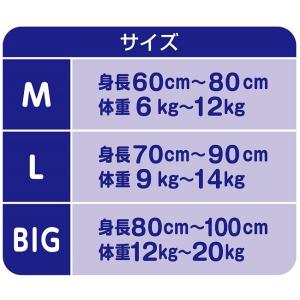 大王製紙 水あそび用おむつ Goonグーンスイ...の詳細画像4
