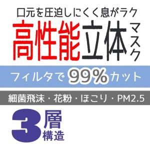 スケーター 大人用高機能不織布立体マスク5枚入...の詳細画像3