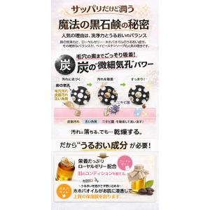 【お試し半額クーポンで1,650円⇒825円】...の詳細画像5