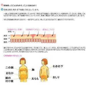 ピジョン ボディマッサージクリーム250g 妊...の詳細画像2