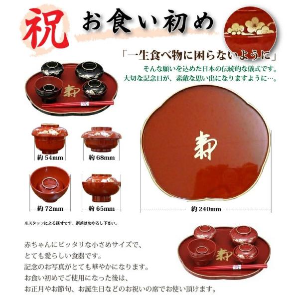 お食い初めの食器セット お喰い初め祝い膳 総朱天金 松竹梅 (男の子） アイプラス