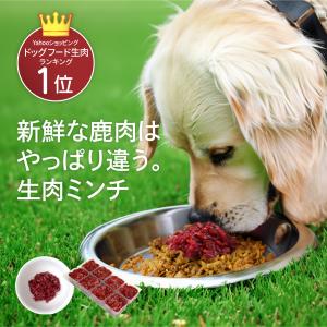 【森のごはん】 愛犬用 国産 鹿肉 生肉ミンチ ひき肉 小分けトレー 無添加 シニア アレルギー対策 食いつき改善 高タンパク 低脂肪