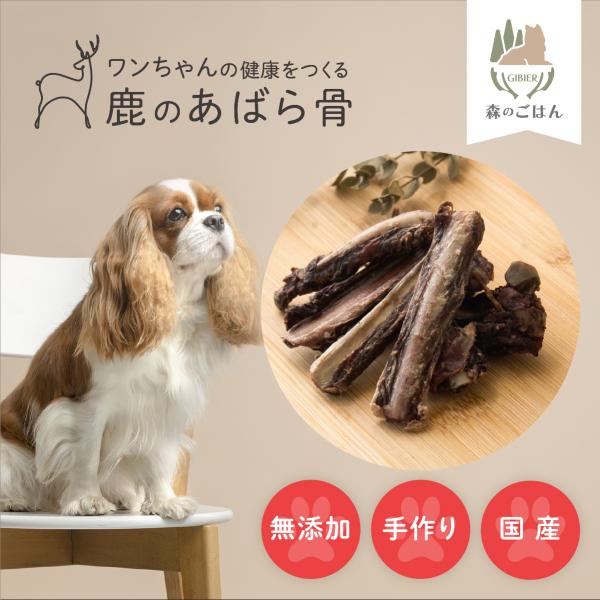 【特別お値引き：賞味期限2024年8月25日】天然鹿のあばら骨｜犬用骨 歯磨きガム おやつとして ド...